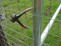 281096-Image018.jpg