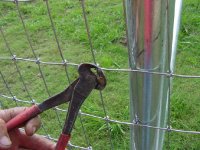 281097-Image019.jpg