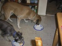 6-61832-0255Charliesbirthday.JPG