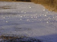 235275-Snow Roll1.jpg