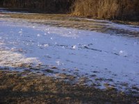 235278-Snow Roll4.jpg