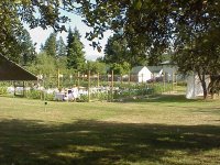 35-184841-Mvc-005l.jpg