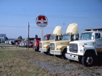 6-62728-BirdEnterprises.jpg