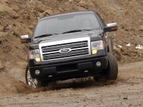 09f150platinum_20_hr.jpg