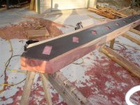 DSC04380 (Medium).JPG