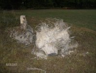 Stump2.JPG