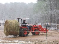 winter hay.jpg