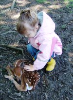 Ava Deer.jpg