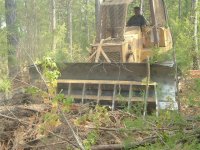 5  My Dad pushing downed trees with the dozer and rake.jpg