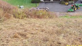 Field 3.jpg