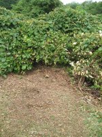 IMG_4223smallfile.jpg