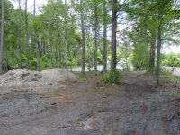 DSC00603.JPG