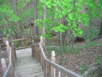 firepit 006.JPG
