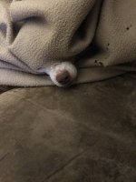 IMG_0614.jpeg
