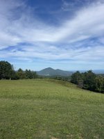 IMG_1392.jpeg