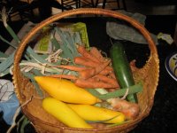 IMG_3625.JPG
