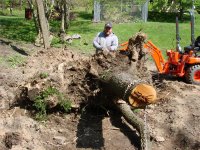 Copy of May 2, 2008 005.jpg