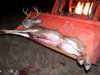 2007 Eight Point Buck 01.jpg
