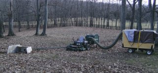 leafsystem1small.jpg