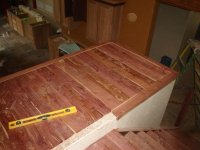 DSC04457 (Medium).JPG