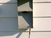 House Box.jpg