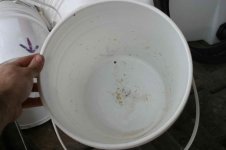 2008 - Watering Trees 4_resize.JPG