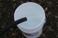 2008 - Watering Trees 5_resize.JPG