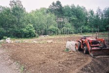 F1000019.jpg