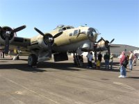 B-17-1 (Small).JPG