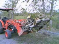 Mar28FORKS_001.jpg