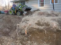 stump2.jpg