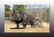 2horsepower.jpg