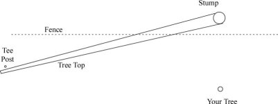 Tree Diagram 1.jpg