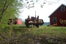 CampfireWood.jpg