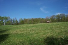 GreeningUp.jpg