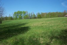 GreeningUp2.jpg