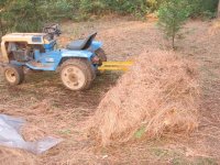 6 Leaf rake - push 1.JPG 6 Leaf rake - push 1.JPG