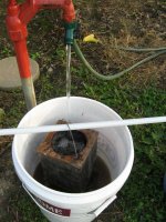 compost tea.JPG
