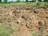 plowed garden one.JPG
