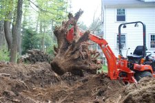 bigstump.jpg