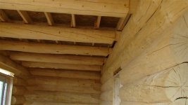 DSC01100.JPG