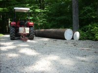 Logs long view.jpg