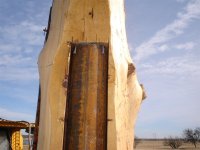 DSC04740 (Medium).JPG