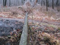IMG_1072.JPG