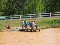 The small pier gets crowded.jpg