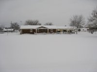 IMG_0346.JPG