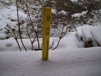 snow%20003.jpg