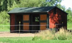 run in shed summer1.jpg
