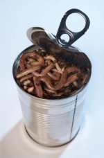 can of worms.jpg