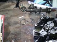 smallbearing.jpg